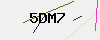 验证码